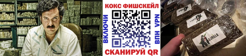 сколько стоит  Сунжа  КОКАИН 99% 