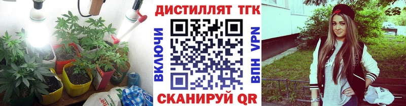 MEGA   Сунжа  ТГК концентрат 