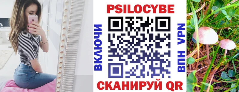 где найти   Сунжа  mega сайт  Галлюциногенные грибы GOLDEN TEACHER 