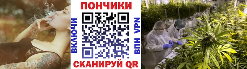 Канабис OG Kush  где купить наркоту  Сунжа 